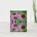 Search for cone flowers cards Daisy