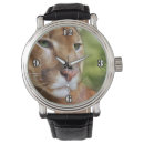 Search for puma accessories Cougar
