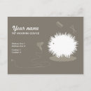 Search for grooming postcards Pet