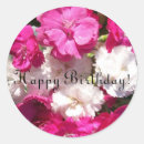 Search for carnation stickers Pretty