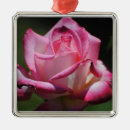 Search for digital art christmas tree decorations Pink