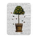 Search for butterfly tree magnets Flowers