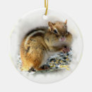 Search for chipmunk christmas tree decorations Animal