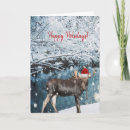 Search for moose seasonal cards Alaska