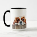 Search for birthday king mugs Cavalier king charles spaniel