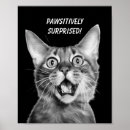 Search for funny cat posters Black and white