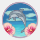 Search for dolphins stickers Summer