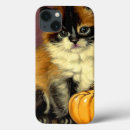 Search for ragdoll cat iphone cases Siamese