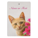 Search for cat clipboards Funny