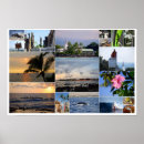 Search for kona posters Kailua
