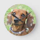 Search for dachshund clocks Pet