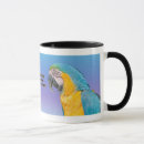Search for blue and gold macaw mugs Wildlife