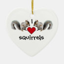 Search for rodent christmas tree decorations Nature
