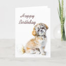 Search for shih tzu birthday cards Animal