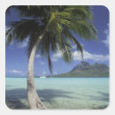 Search for polynesia stickers Bora bora