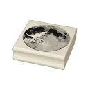 Search for dinosaur rubber stamps Funny