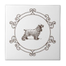 Search for frame tiles Classic