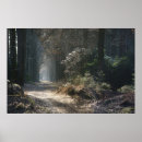 Search for misty trees posters Mysterious