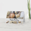 Search for florida shells cards Tropical