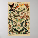 Search for papillon vintage posters Butterflies