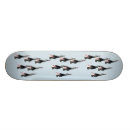 Search for plane skateboards Air force