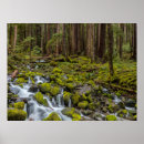 Search for washington state parks posters Olympic national park