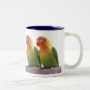 Search for masked lovebird mugs Agapornis