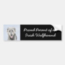 Search for wolfhound bumper stickers Irish