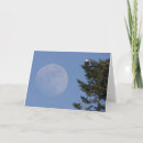 Search for danita delimont cards Ken archer