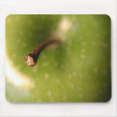 Search for apple mousepads Food