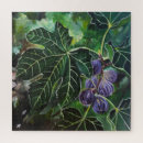 Search for fig puzzles Nature