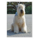 Search for wheaten terrier postcards Pets