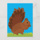 Search for rodent postcards Squirrel