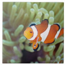 Search for low angle view tiles Animal