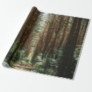 Search for pathways Forest