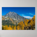 Search for stuart posters Autumn