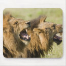 Search for aggression mousepads Horizontal