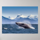 Search for breaching posters Ocean