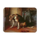 Search for 73 magnets Landseer