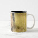 Search for forest walk mugs Outdoors