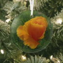 Search for poppy christmas tree decorations Floral