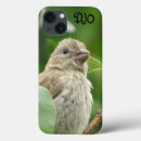 Search for finch iphone cases Birds
