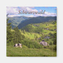 Search for meadows magnets Blue sky