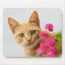 Search for ginger mousepads Kitty