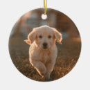 Search for pet photo christmas tree decorations Simple