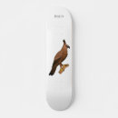 Search for hawks skateboards Eagle