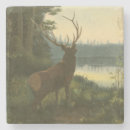 Search for backing barware Nature