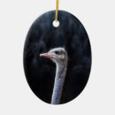 Search for ostrich christmas tree decorations Animal