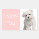 Search for maltese dog stickers Thank you
