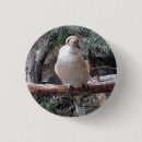 Search for kookaburra badges Cute